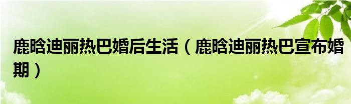 鹿晗迪丽热巴婚后生活（鹿晗迪丽热巴宣布婚期）