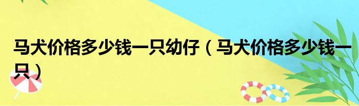 马犬价格多少钱一只幼仔（马犬价格多少钱一只）