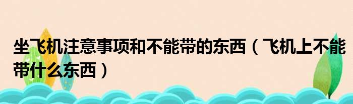 坐飞机注意事项和不能带的东西（飞机上不能带什么东西）