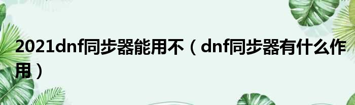 2021dnf同步器能用不（dnf同步器有什么作用）