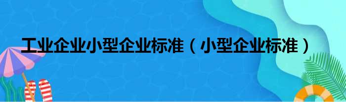 工业企业小型企业标准（小型企业标准）