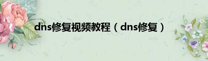 dns修复视频教程（dns修复）