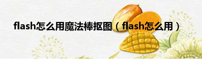 flash怎么用魔法棒抠图（flash怎么用）