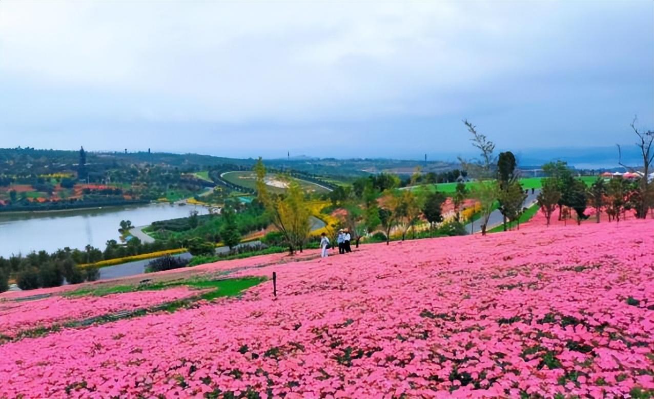 安徽省宁国市旅游景点（安徽宁国市旅游景点有哪些）(图4)