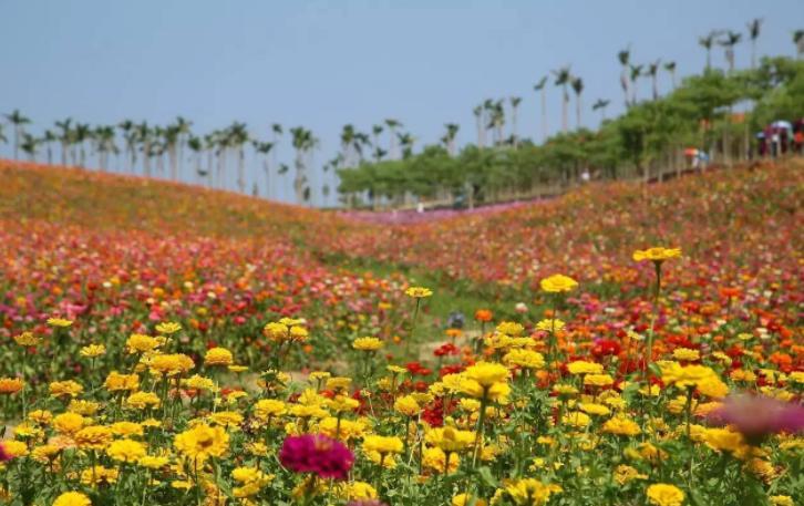 安徽省宁国市旅游景点（安徽宁国市旅游景点有哪些）(图5)