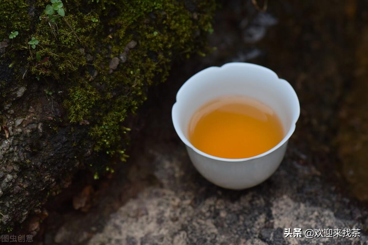 福建茶叶品牌排行榜百度百科（福建茶叶品牌十大名茶）(图5)