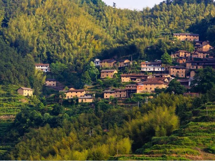 丽水旅游必去十大景点介绍（丽水十大旅游景点推荐）(图2)