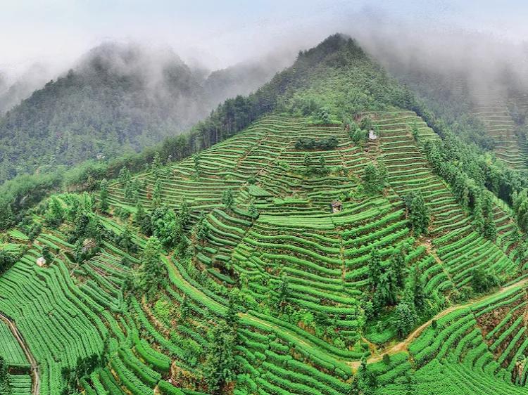 丽水旅游必去十大景点介绍（丽水十大旅游景点推荐）(图8)