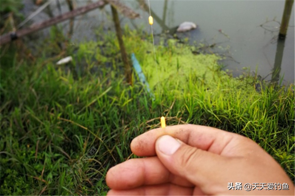 七星漂钓组的组成及调漂方法钓法（钓鱼七星漂怎么调才是正确的）