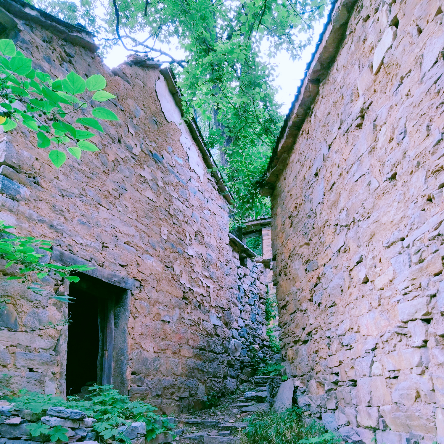 揭秘封门村背后的真相太师椅（震撼全国封门村太师椅怎么回事）(图10)