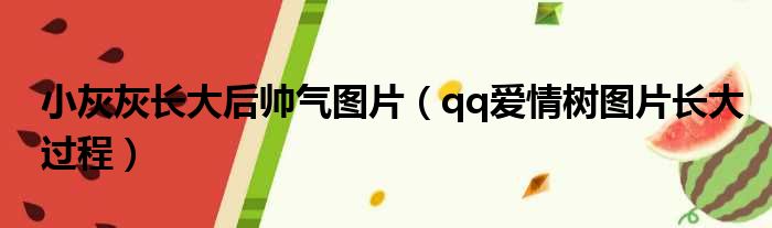 小灰灰长大后帅气图片（qq爱情树图片长大过程）