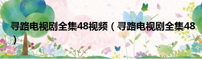 寻路电视剧全集48视频（寻路电视剧全集48）