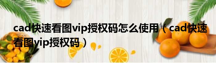 cad快速看图vip授权码怎么使用（cad快速看图vip授权码）