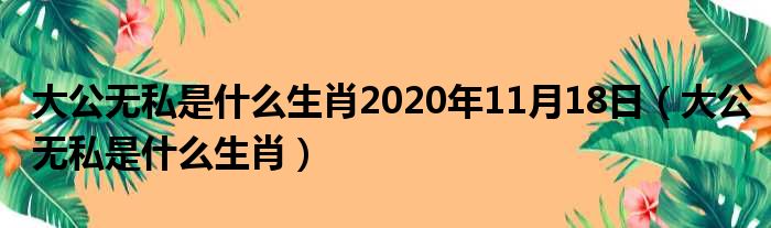 大公无私是什么生肖2020年11月18日（大公无私是什么生肖）