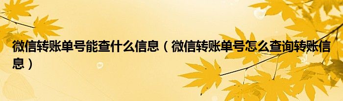 微信转账单号能查什么信息（微信转账单号怎么查询转账信息）