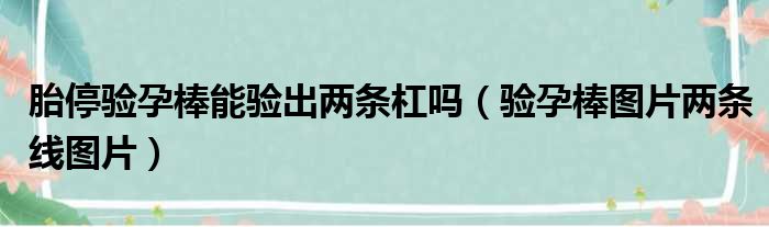 胎停验孕棒能验出两条杠吗（验孕棒图片两条线图片）