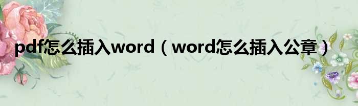 pdf怎么插入word（word怎么插入公章）