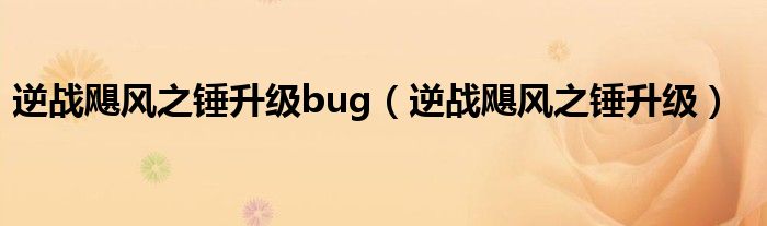 逆战飓风之锤升级bug（逆战飓风之锤升级）