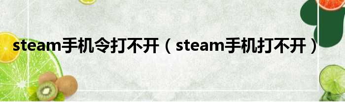 steam手机令打不开（steam手机打不开）