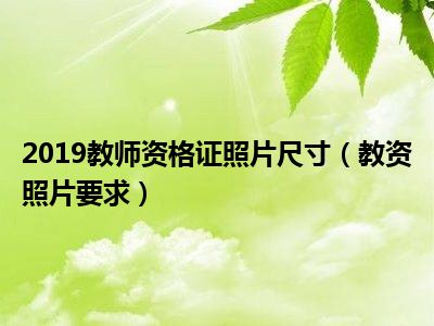 2019教师资格证照片尺寸（教资照片要求）