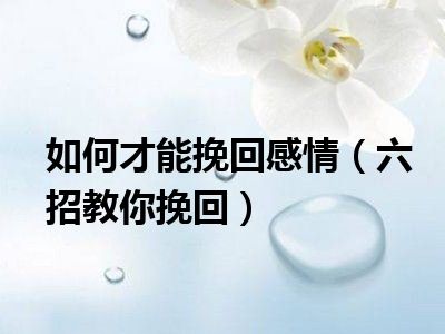 如何才能挽回感情（六招教你挽回）