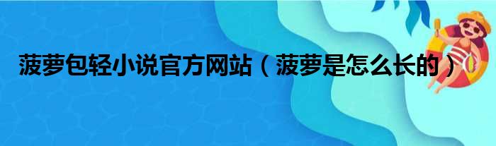 菠萝包轻小说官方网站（菠萝是怎么长的）