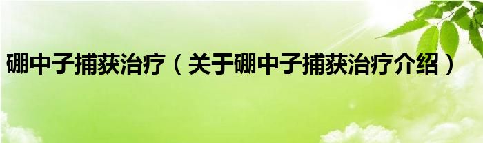  硼中子捕获治疗（关于硼中子捕获治疗介绍）