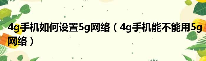 4g手机如何设置5g网络（4g手机能不能用5g网络）