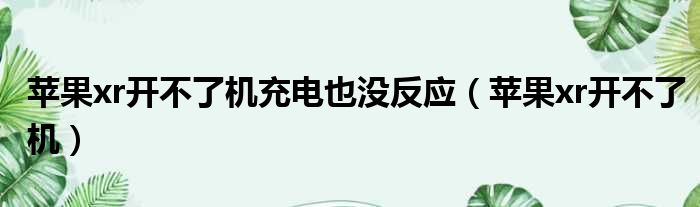 苹果xr开不了机充电也没反应（苹果xr开不了机）