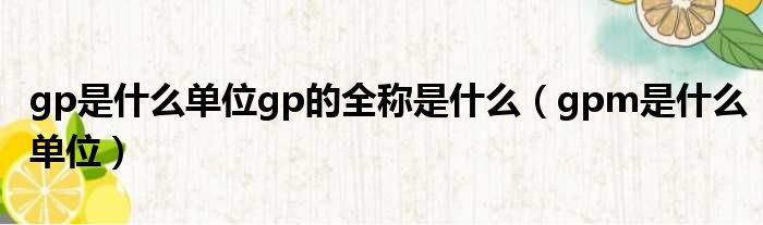 gp是什么单位gp的全称是什么（gpm是什么单位）