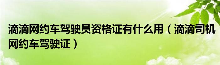 滴滴网约车驾驶员资格证有什么用（滴滴司机网约车驾驶证）