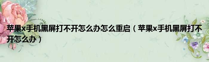 苹果x手机黑屏打不开怎么办怎么重启（苹果x手机黑屏打不开怎么办）