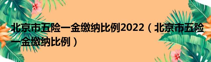 北京市五险一金缴纳比例2022（北京市五险一金缴纳比例）