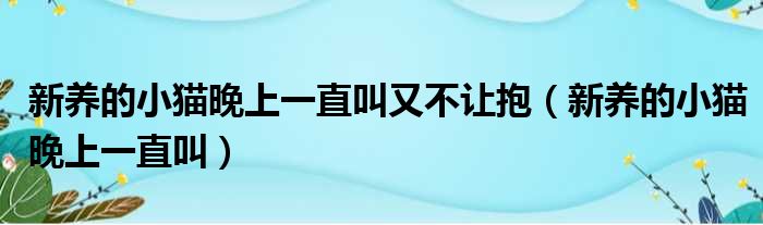 新养的小猫晚上一直叫又不让抱（新养的小猫晚上一直叫）