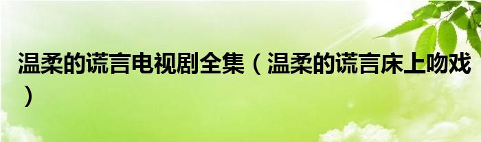 温柔的谎言电视剧全集（温柔的谎言床上吻戏）