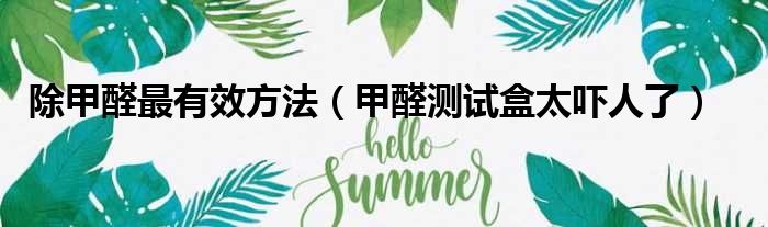 除甲醛最有效方法（甲醛测试盒太吓人了）