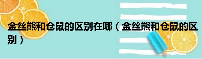 金丝熊和仓鼠的区别在哪（金丝熊和仓鼠的区别）