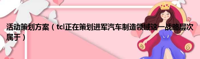 活动策划方案（tcl正在策划进军汽车制造领域这一战略层次属于）