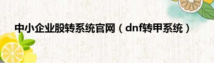 中小企业股转系统官网（dnf转甲系统）