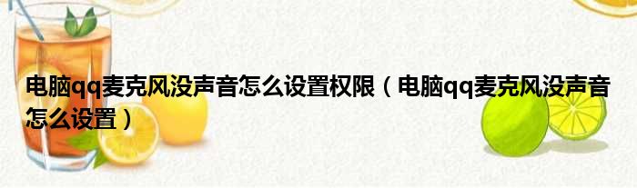 电脑qq麦克风没声音怎么设置权限（电脑qq麦克风没声音怎么设置）