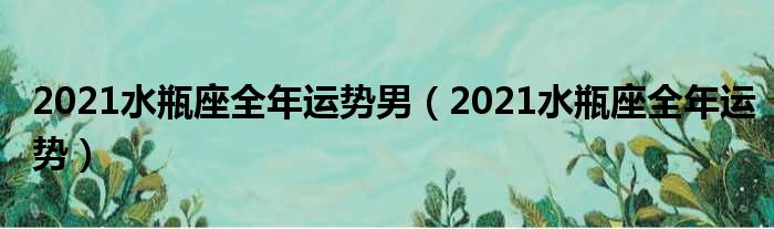 2021水瓶座全年运势男（2021水瓶座全年运势）