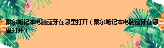 戴尔笔记本电脑蓝牙在哪里打开（戴尔笔记本电脑蓝牙在哪里打开）