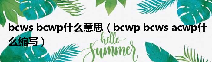 bcws bcwp什么意思（bcwp bcws acwp什么缩写）