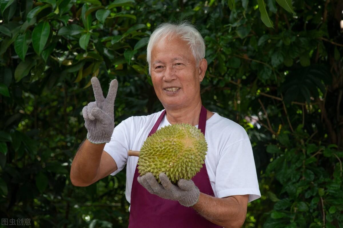 榴莲树在什么温度下生长最好（榴莲树适合在什么地方种植）(图5)