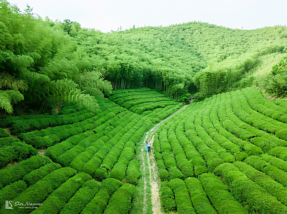 湖州周边旅游景点大全排名湖州周边（湖州有什么好玩的地方）(图7)