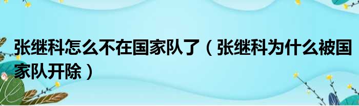 张继科怎么不在国家队了（张继科为什么被国家队开除）