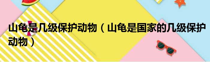 山龟是几级保护动物（山龟是国家的几级保护动物）