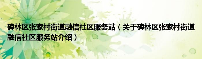  碑林区张家村街道融信社区服务站（关于碑林区张家村街道融信社区服务站介绍）