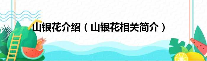 山银花介绍（山银花相关简介）