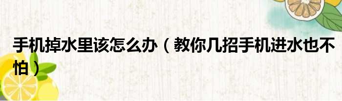 手机掉水里该怎么办（教你几招手机进水也不怕）